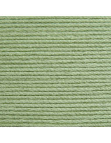 Coton Rico Baby Cozy Cotone Organico Cashmere