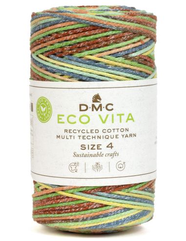 Coton recyclé Eco Vita 4 Multicolor DMC