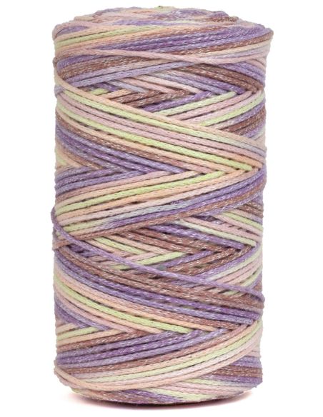 Coton recyclé Eco Vita 4 Multicolor DMC