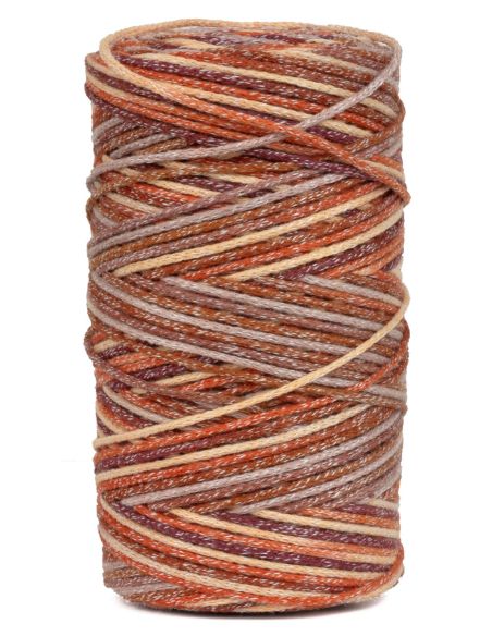 Coton recyclé Eco Vita 4 Multicolor DMC