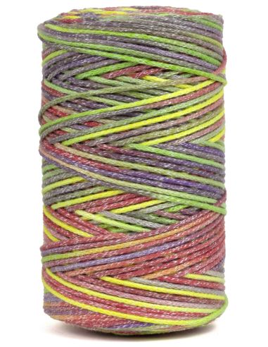 Coton recyclé Eco Vita 4 Multicolor DMC