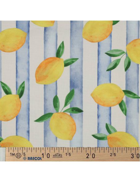 toile-de-coton-canvas-citrons