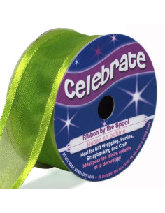 Nastro organza Celebrate verde mela - 25 mm x 4 m