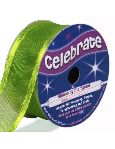 Nastro organza Celebrate verde mela - 25 mm x 4 m