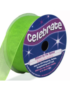 Nastro organza Celebrate verde anice - 20 mm x 5 m