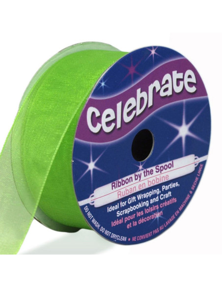 Nastro organza Celebrate verde anice - 20 mm x 5 m