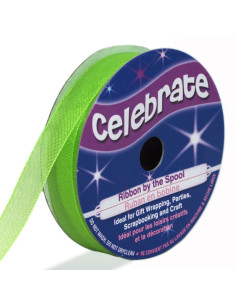 Nastro organza Celebrate verde anice - 9 mm x 8 m