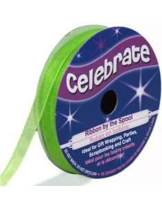 Nastro organza Celebrate verde anice - 6 mm x 8 m