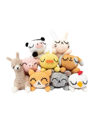 Libretto Ricorumi Pocket Pals