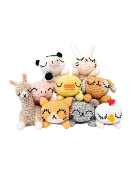 Libretto Ricorumi Pocket Pals