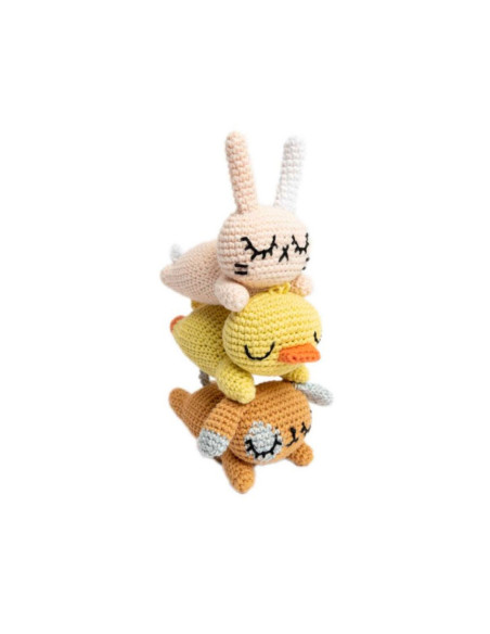 Libretto Ricorumi Pocket Pals
