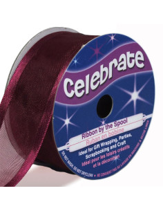 Nastro organza Celebrate prugna - 25 mm x 4 m