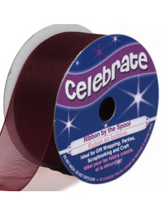 Nastro organza Celebrate prugna - 25 mm x 5 m