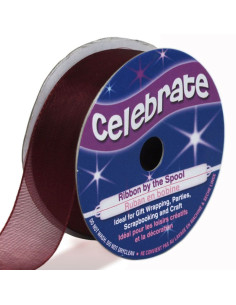 Nastro organza Celebrate prugna - 20 mm x 5 m