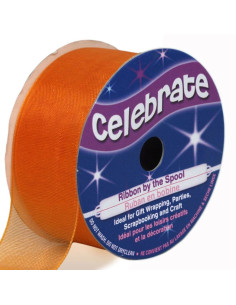 Nastro organza Celebrate arancione - 25 mm x 5 m