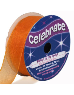 Nastro organza Celebrate arancione - 20 mm x 5 m