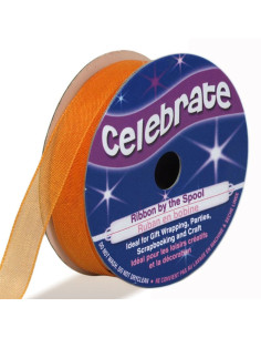 Nastro organza Celebrate arancione - 9 mm x 8 m