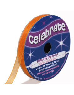 Nastro organza Celebrate arancione - 6 mm x 8 m