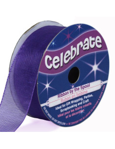 Nastro organza Celebrate viola - 20 mm x 5 m
