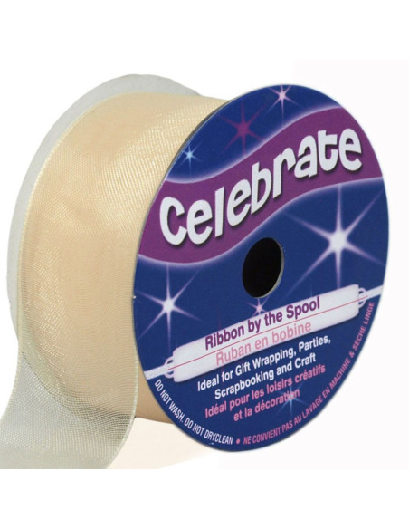 Nastro organza Celebrate avorio - 25 mm x 5 m