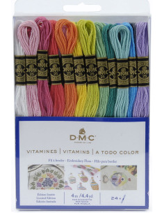 Confezione di 24 matassine di fili da ricamo mouliné DMC - I vitaminici