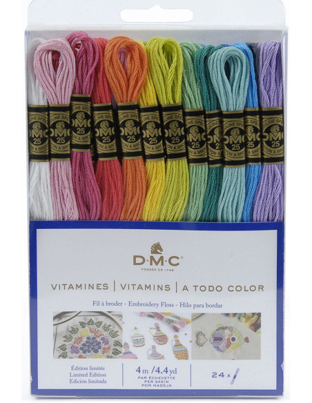 Confezione di 24 matassine di fili da ricamo mouliné DMC - I vitaminici