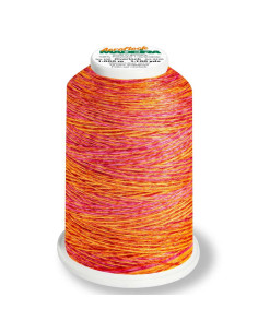 Cono di filo mousse Madeira Aeroflock Multicolor 1000 m