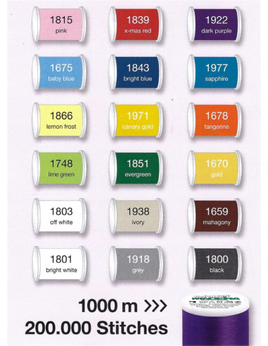 Valigia di fili da ricamo SmartBox Polyneon Madeira