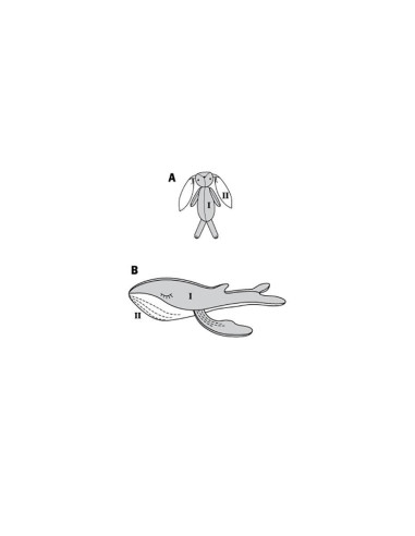 Modello di peluche - Burda 6044