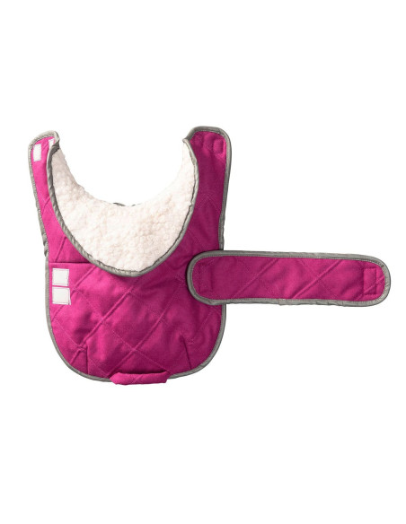 Modello di cappotto per cane - Burda 6049