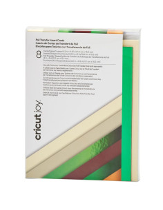Set di 8 carte con buste R30 Foil Cameron Cricut Joy