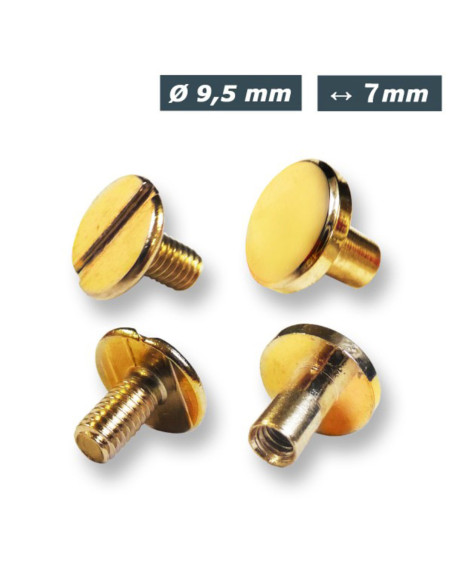 25 set di viti chicago 9,5 mm x 7 mm - Oro