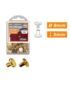 25 set di viti chicago 8 mm x 5 mm - Oro 2
