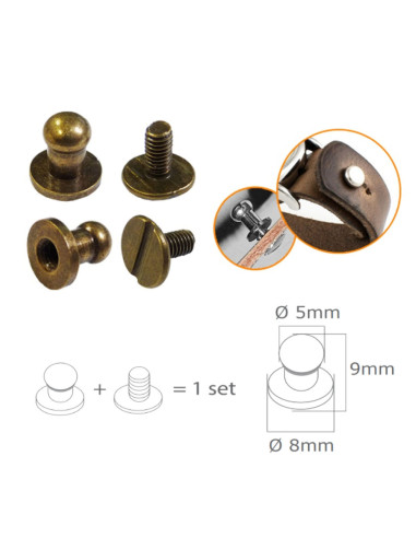 4 set di bottoni da colletto a vite - Bronzo