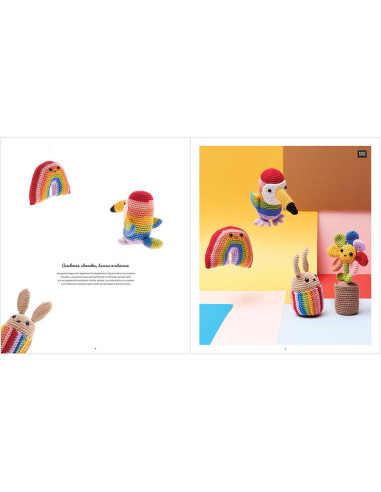 Libretto Ricorumi Rainbow