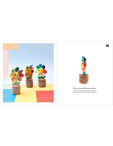 Libretto Ricorumi Rainbow