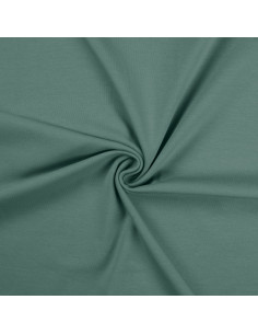 Tessuto jersey di cotone - Verde grigio