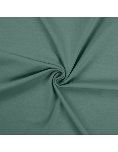 Tessuto jersey di cotone - Verde grigio