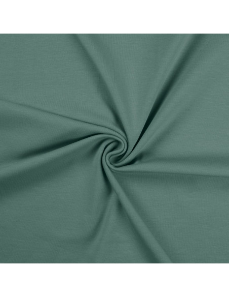 Tessuto jersey di cotone - Verde grigio
