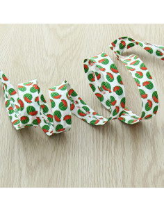 Biais fruits - Anguria