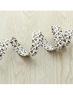 Biais fruits - Cocco