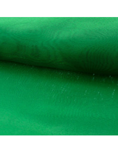Tessuto organza - Verde