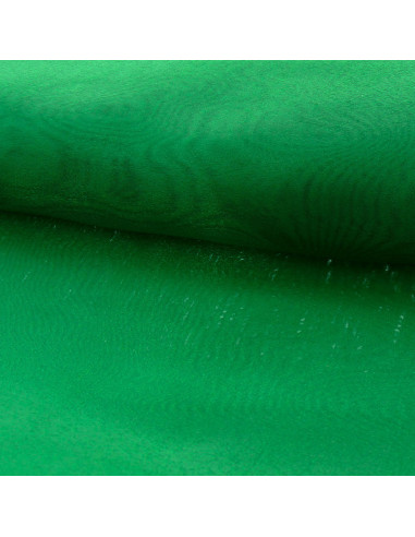 Tessuto organza - Verde