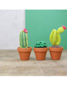 Kit per uncinetto - Cactus