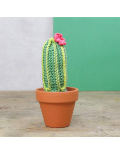 Kit per uncinetto - Cactus 2