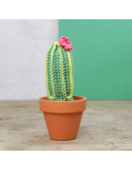 Kit per uncinetto - Cactus