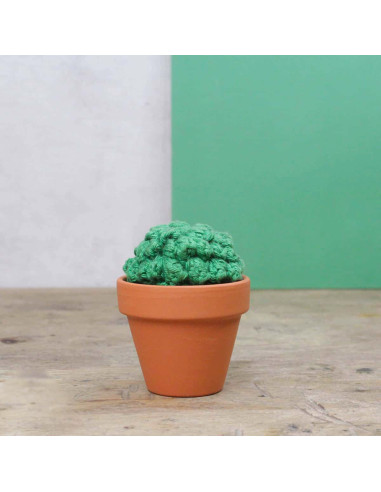 Kit per uncinetto - Cactus