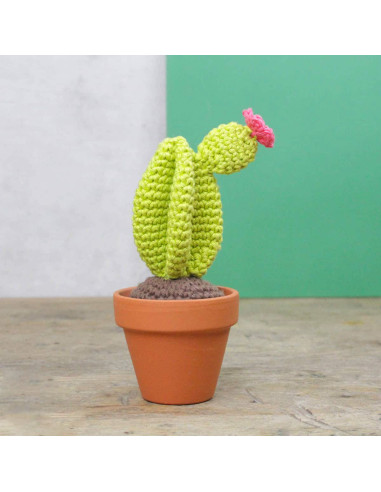 Kit per uncinetto - Cactus