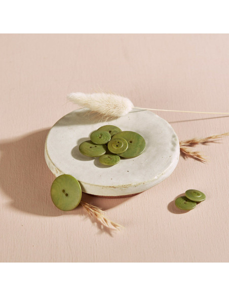 Bouton Palm - Foglia di Matcha
