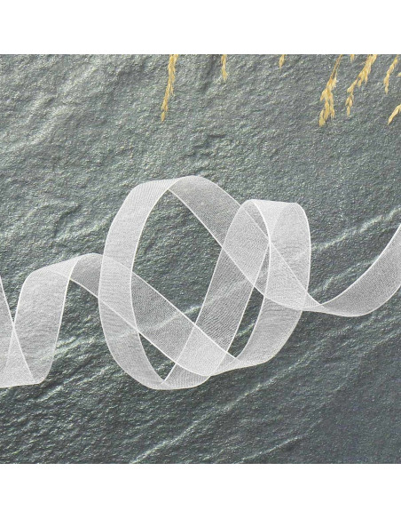 Nastro organza - Avorio
